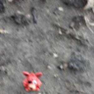 Meet your Posher, Shawn